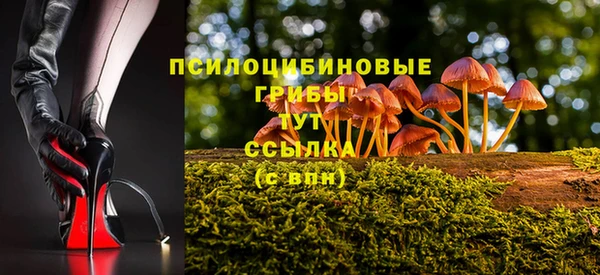 ECSTASY Арсеньев