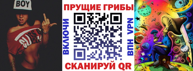 Галлюциногенные грибы мухоморы Камышлов