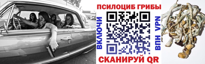 Галлюциногенные грибы MAGIC MUSHROOMS  дарк нет Telegram  Камышлов 